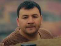 ", " (2017)