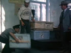   - " 82" (1982)