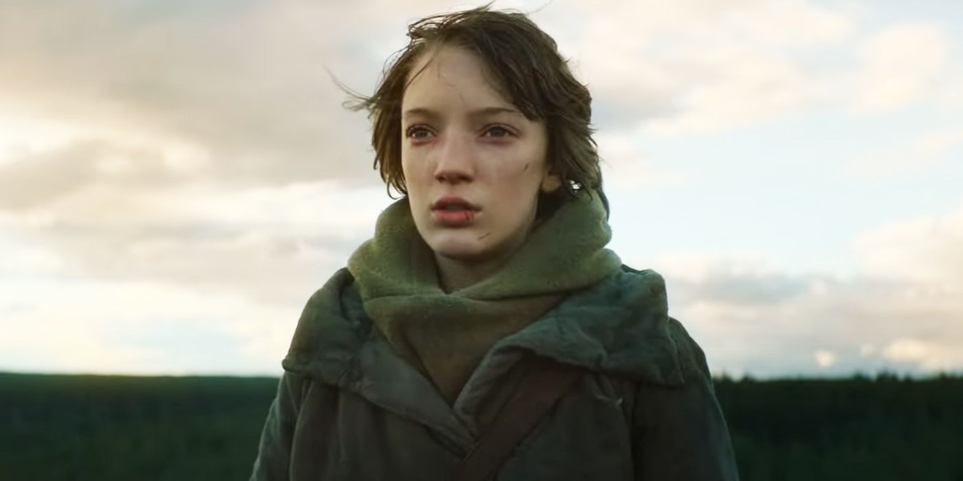   (2022)