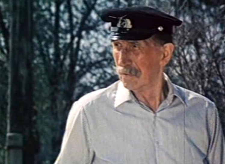  82 (1982)