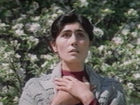   - " " (1985)
