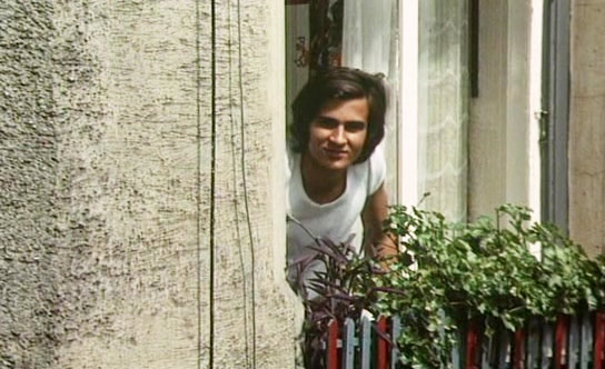    (1971)