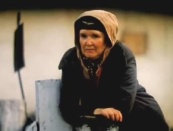    (1988)