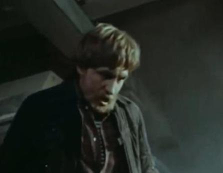 (1981)