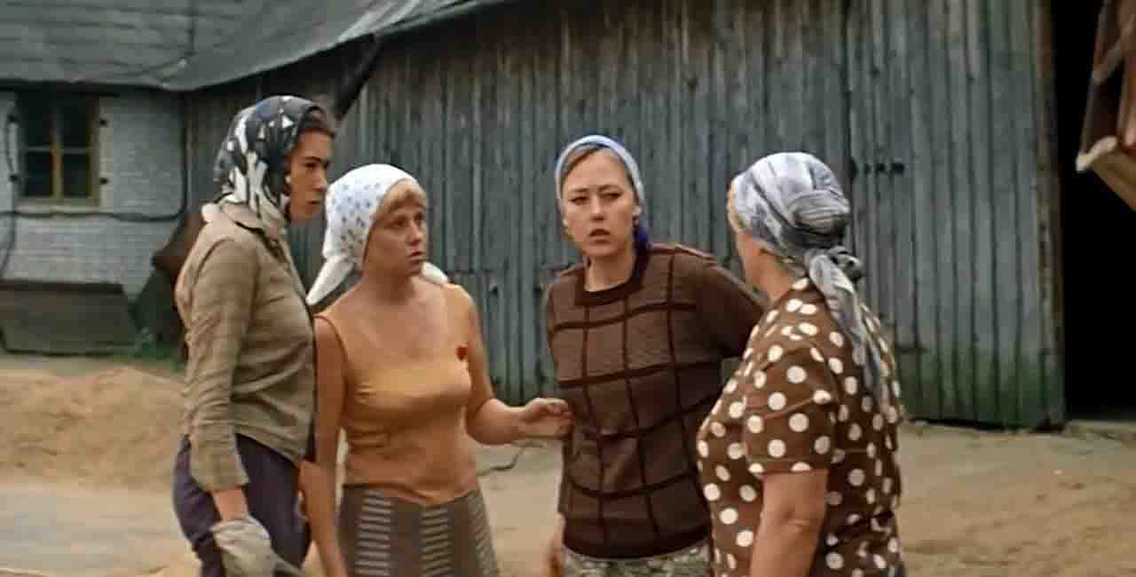   - " " (1981)
