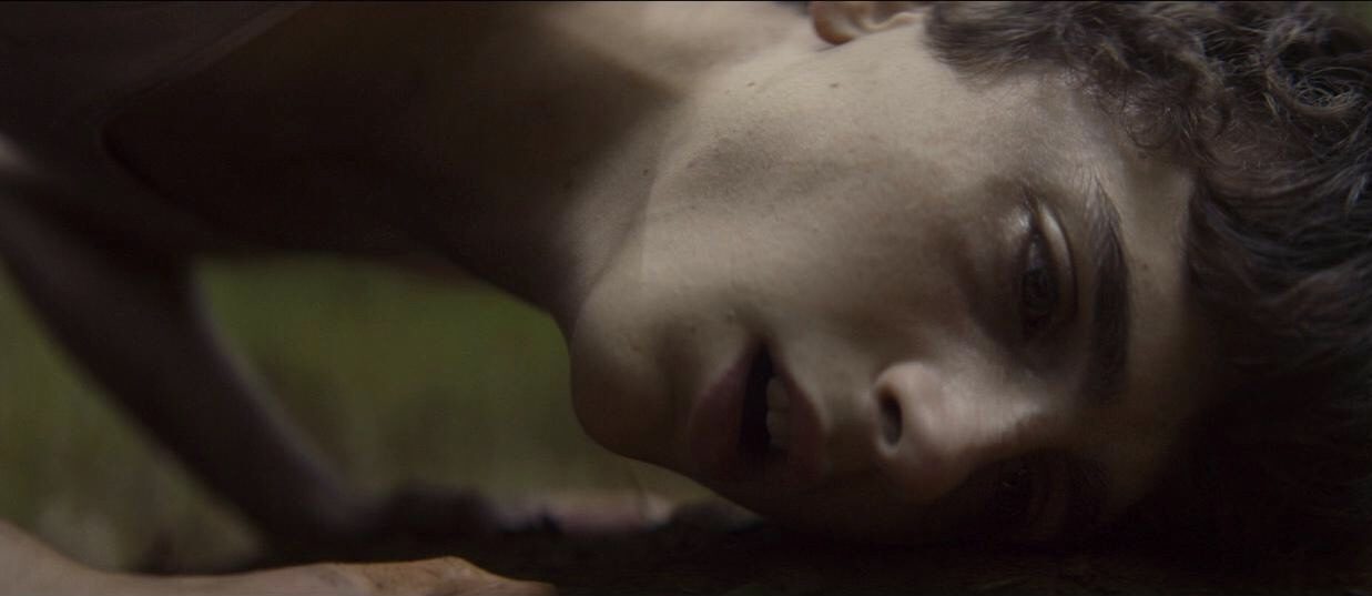   - "  " (2015)