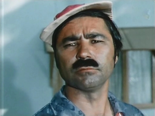    (1976)
