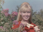   - " " (1968)