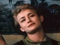 "  " (1992)