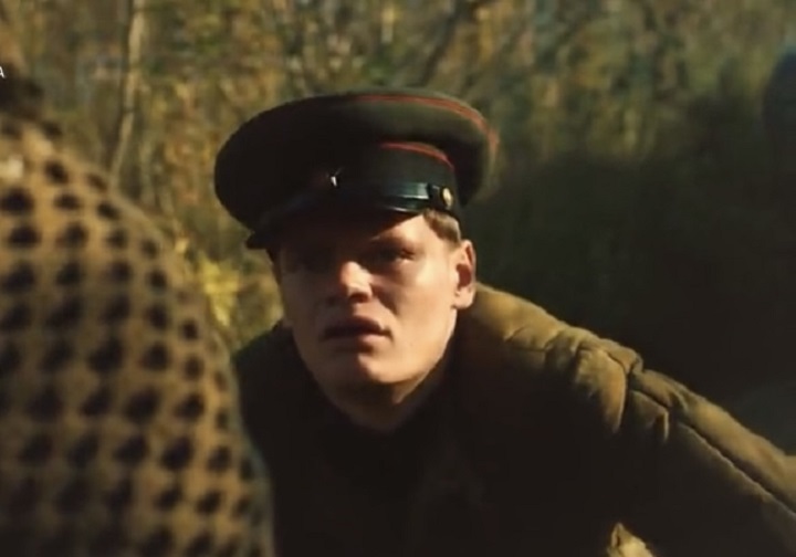    (2019)