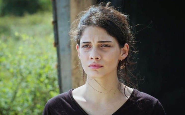  ʸ - " " (2015)
