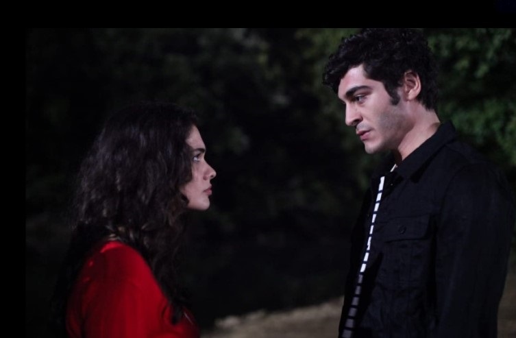  ʸ - " " (2015)