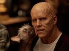   - " 3" (2024)