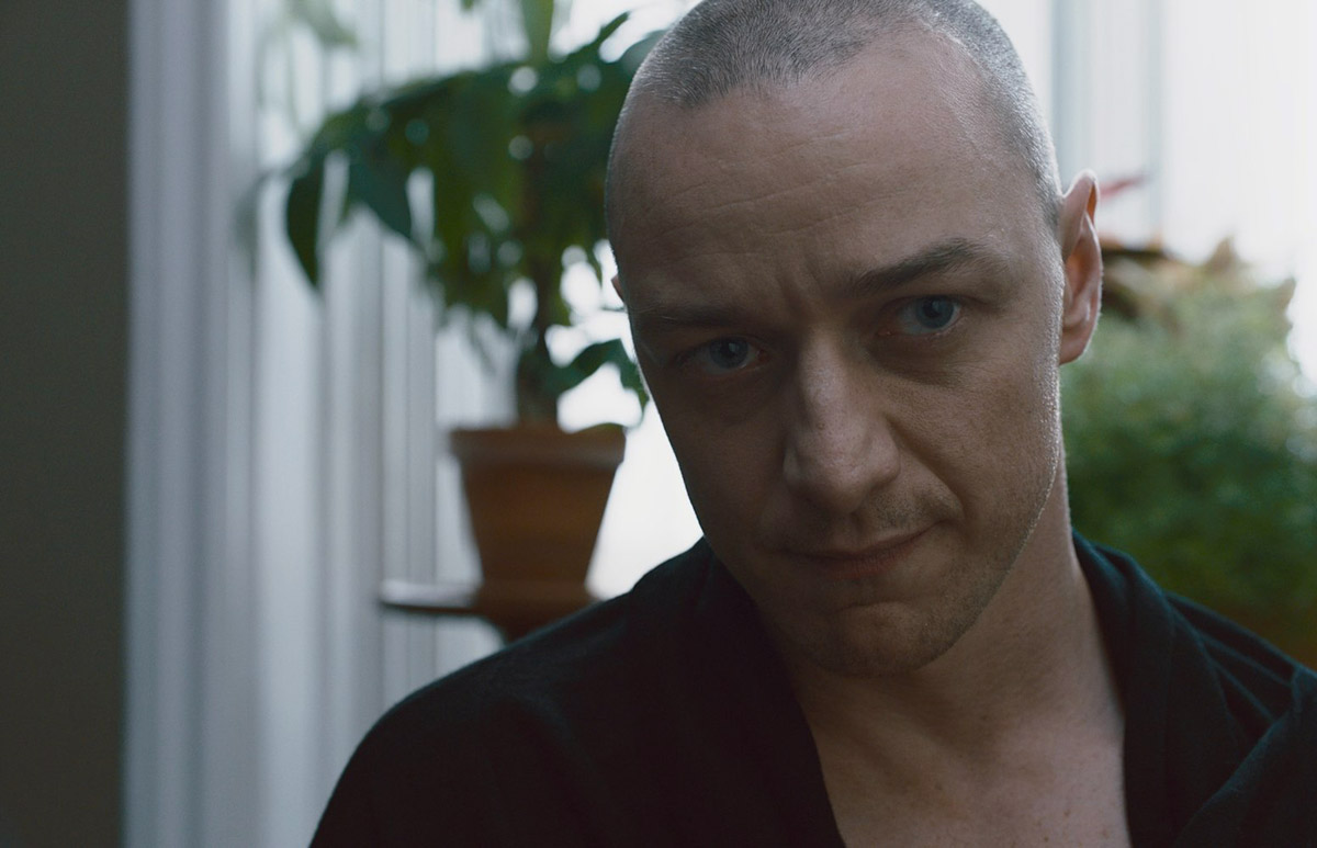  (2016)