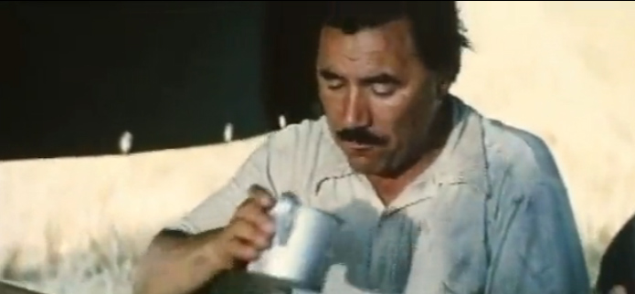   - "-" (1976)