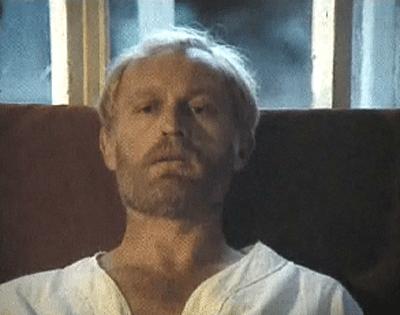 ϸ  () - "   " (1994)
