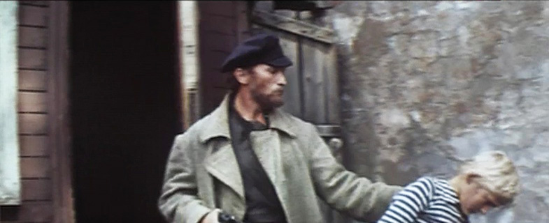 ϸ  () - "  " (1981)