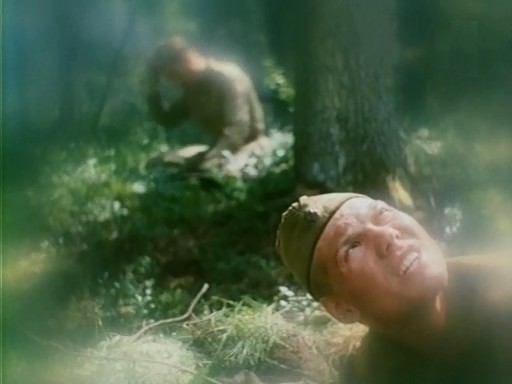      (1989)