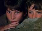 ",  " (1987)