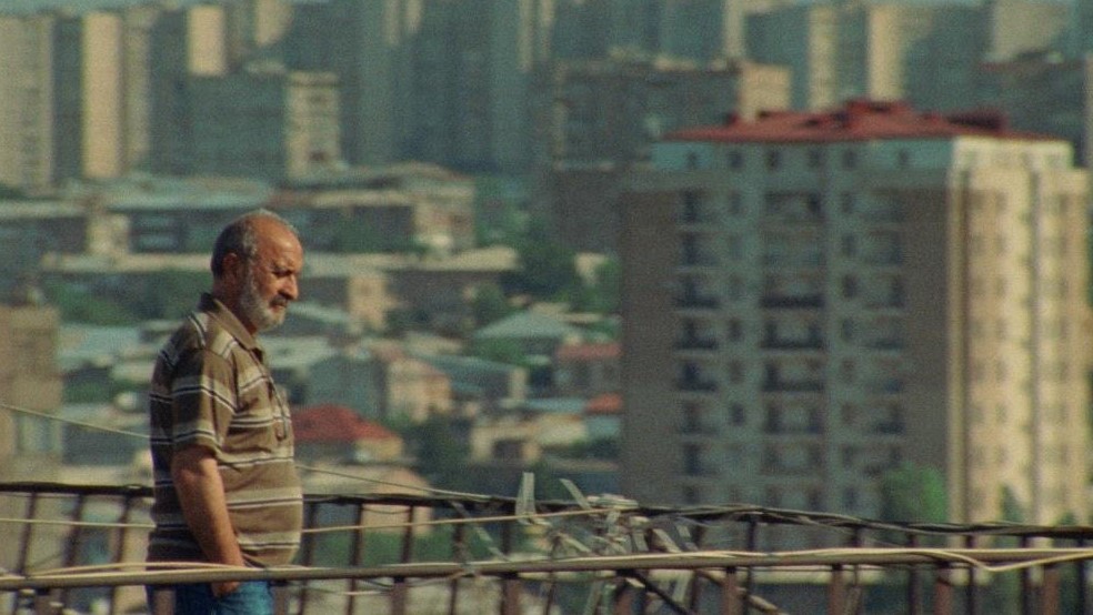  (2019)