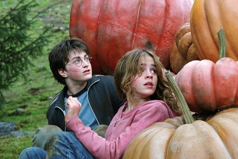   - "    " (2004)