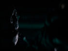   - "  3. " (2024)