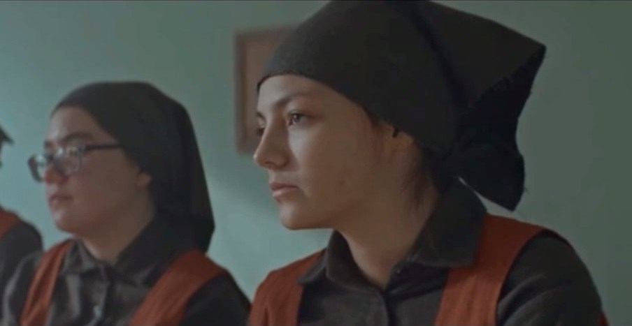   (II) - " " (2019)