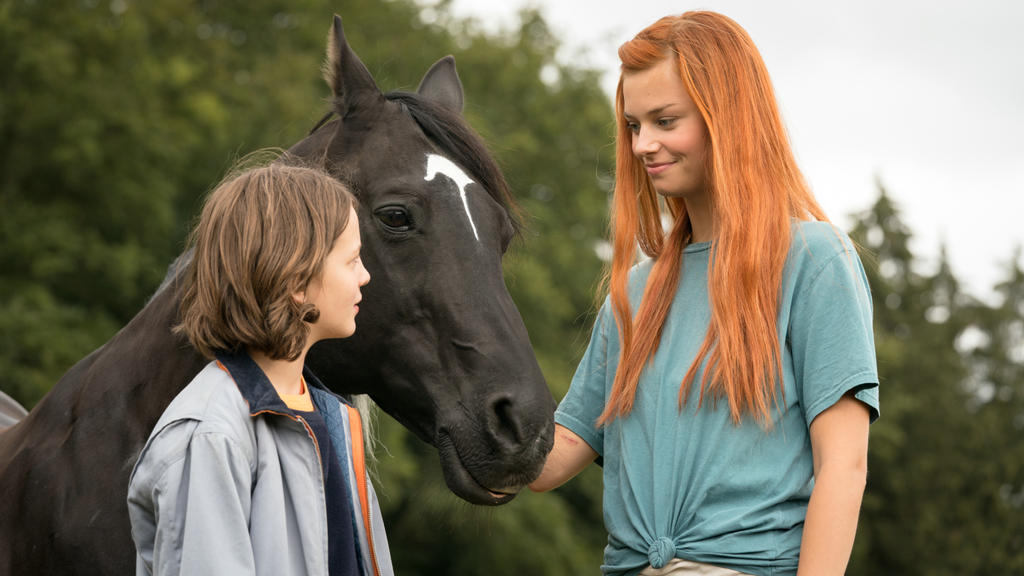   4:    (2019)