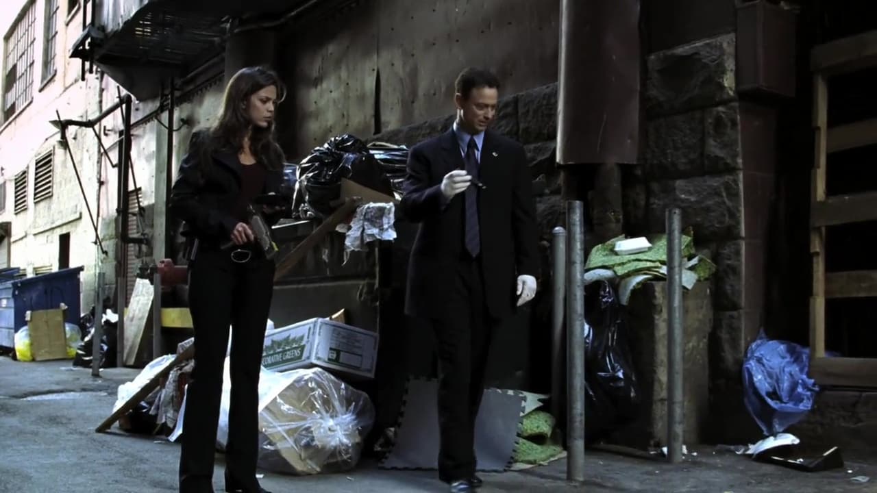   - "CSI:   -" (2004-2013)