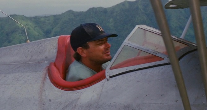  :     (1981)