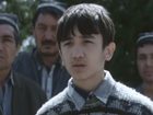   (II) - " " (2005)