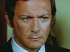   - " " (1977)