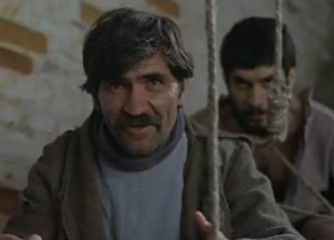     (1981)