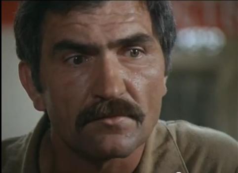     (1981)