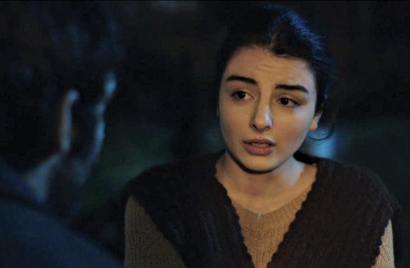  (2017)