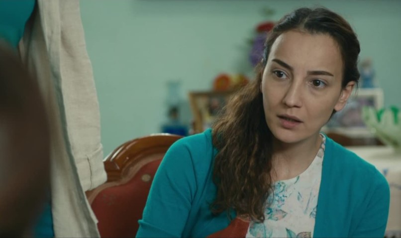 (2019)