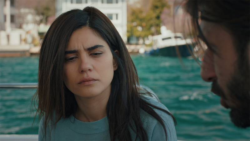   - "׸ " (2017)