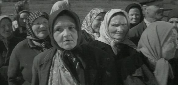  (1964)