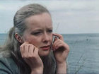   - " "  7 "  "(1988)