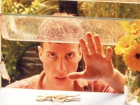 "-" (1993)