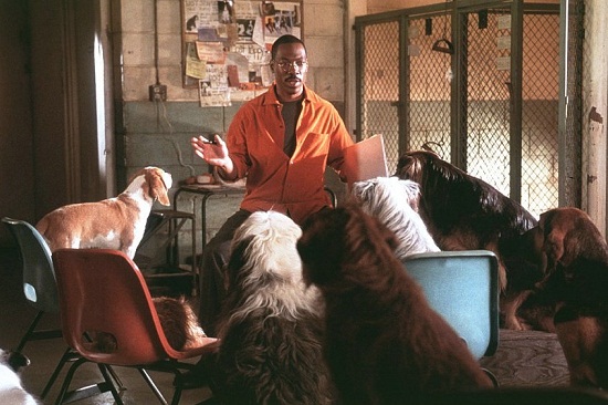  ̸ - "  2" (2001)