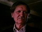   - "׸ " (1994)