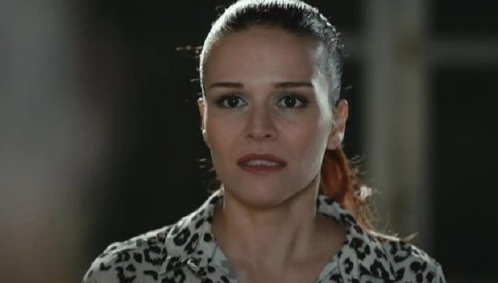  (2019)