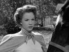   - "  " (1951)