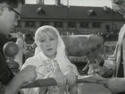   - " " (1963)
