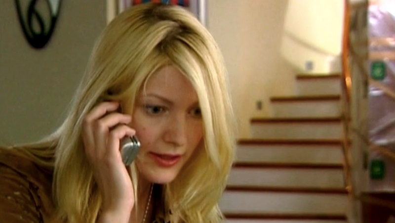  .    - 3 (2004)