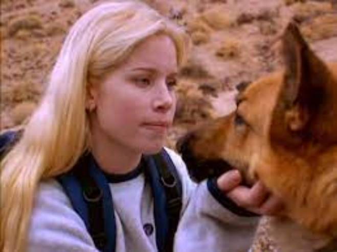   - " " (2000)
