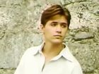   (II) - " " (1995)
