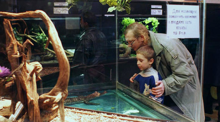   - "" (2005)