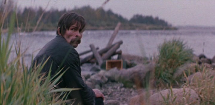   - ",  " (1978)
